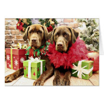 Christmas - Chocolate Labrador - Hershey & Zena Cards