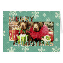 Christmas - Chocolate Labrador - Hershey & Zena Card
