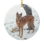 Animal Ornaments