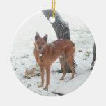 Christmas Collection In Memory of Champ Christmas Ornaments