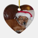 Christmas Collection Your Pet Photo Christmas Ornaments