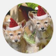 Christmas Coyote Pups Stickers