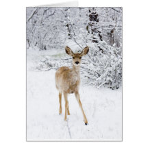 Christmas Deer Greeting Card