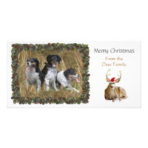 Christmas Deer Photo Card