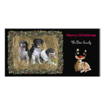 Christmas Deer Photo Card