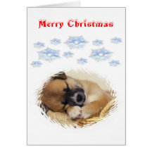 Christmas Dreams Cards