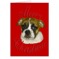 Christmas English Bulldog cards