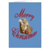 Christmas Hawk cards
