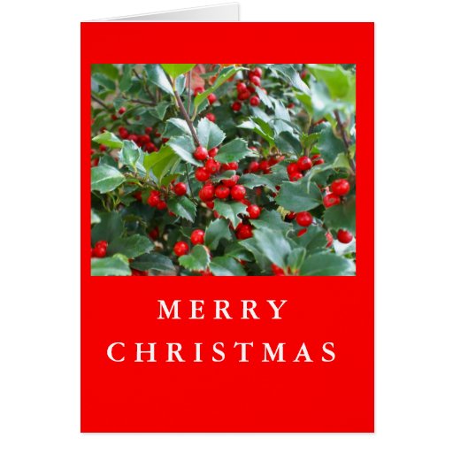 Christmas Holly Cards