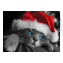 Christmas Kitten Card
