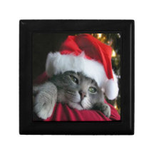 christmas kitten gift box