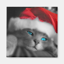 Christmas Kitten Magnet