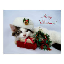 Christmas Kitten Postcard