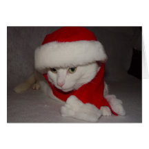 Christmas Kitty Greeting Card