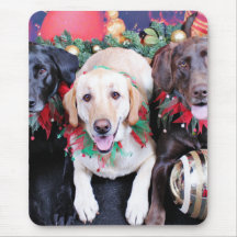 Christmas - Labrador - Dude Jag and Mocha Mousepad