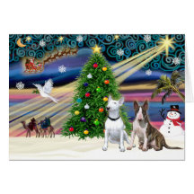 Christmas Magic Bull Terriers (two) Greeting Card