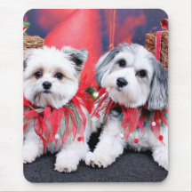 Christmas - Maltzer - Bandit - Paptese - Daisy Mousepads