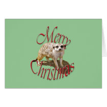 Christmas Meerkat cards