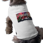 Christmas - Morkie - Jackie and Tabby Dog Clothing