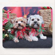 Christmas - Morkie - Jackie and Tabby Mousepads