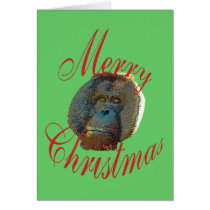 Christmas Orangutan cards