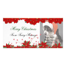 Christmas Photo Cards from your pets!