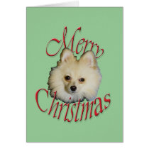Christmas Pomeranian Greeting Card cards