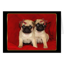 Christmas pug puppies card
