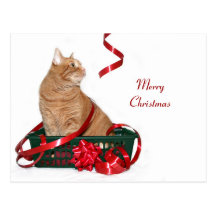 Christmas ribbon kitty post cards