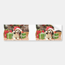 Christmas - Shih Poo - Max Bumper Stickers