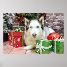 Christmas - Siberian Husky - Juliet Print