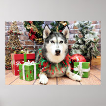 Christmas - Siberian Husky - Nika Posters