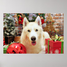 Christmas - Siberian Husky - Teagarden Portraits Poster