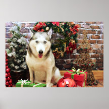 Christmas - Siberian Husky - Teagarden Portraits Print