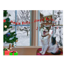 Christmas, Singing Cat, Snow, Postcard