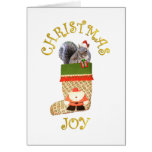 Christmas Squirrel Greeting Cards