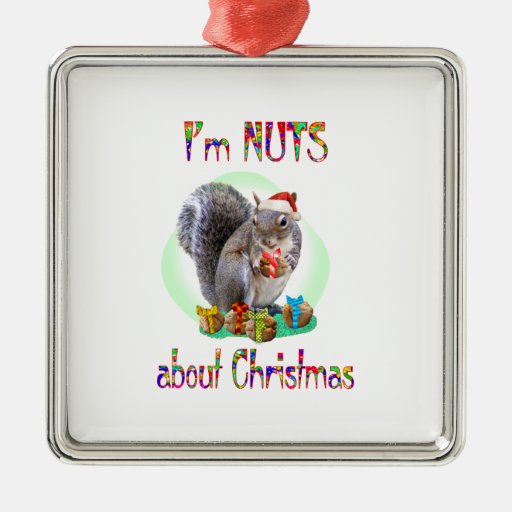 Christmas Squirrel Ornaments