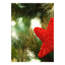 Christmas Star Announcements