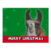 Christmas Stud Llama Happy New Year Post Cards
