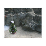 Christmas Tree In Front Of Rocks.jpg Canvas Prints