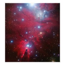 Christmas Tree Star Cluster Photographic Print