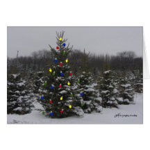 christmas tree with lights greeting cards