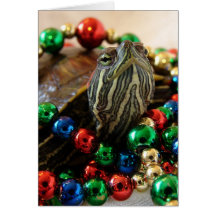 Christmas Turtle Greeting Cards
