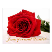 Christmas Wedding Save the Date Red Rose Post Card