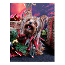 Christmas - Yorkie - Chase Post Card