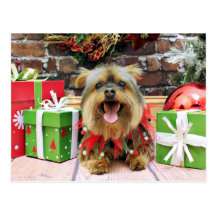 Christmas - Yorkie - Eli Postcards