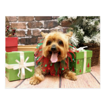 Christmas - Yorkie - Pixie Postcard