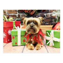 Christmas - Yorkie - Riley Post Cards