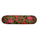 Chrysanthemum blossom skateboard deck