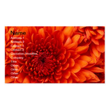 Chrysanthemum Business Card